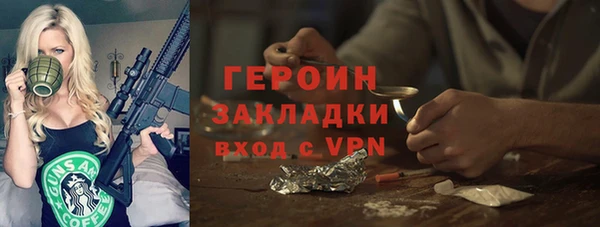 гашик Алексин
