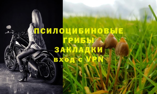 мескалин Нягань