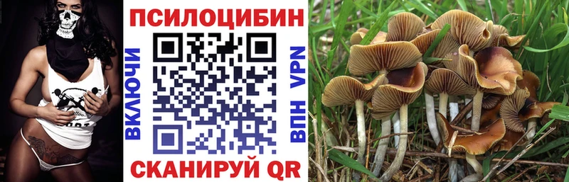 где продают   Себеж  Галлюциногенные грибы прущие грибы 
